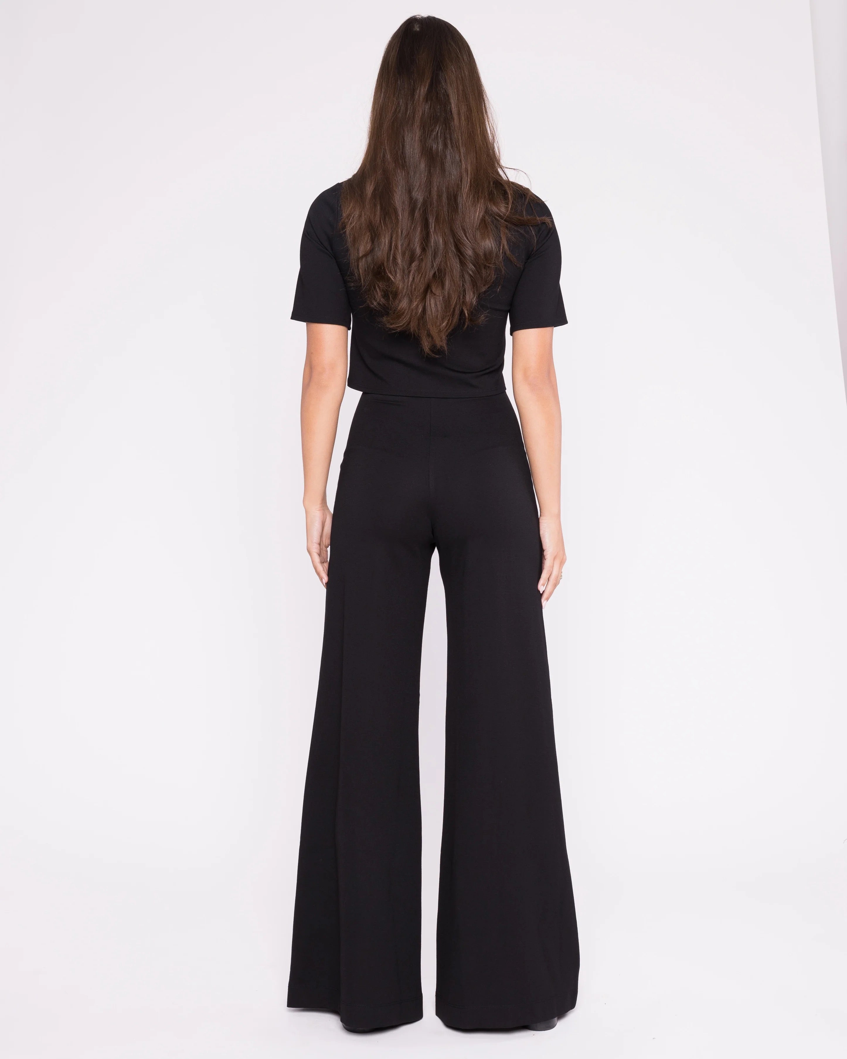 Ponte Knit Standard Wide Leg Pant - Black