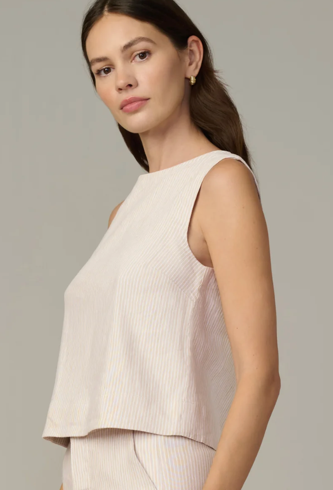 Micro Stripe Boat Neck Top