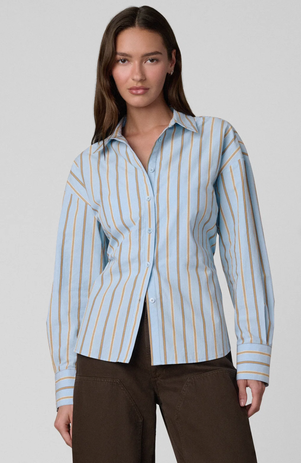 The Cinched Waist Shirt