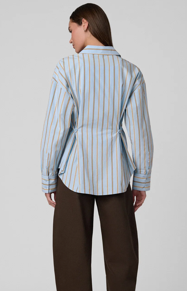 The Cinched Waist Shirt