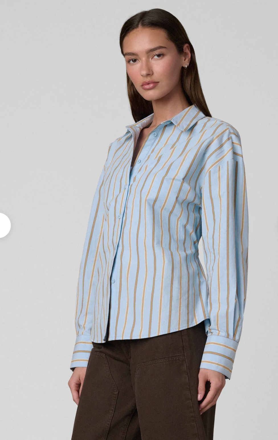 The Cinched Waist Shirt